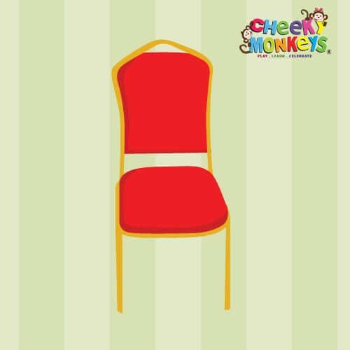 Kids Birthday Party Adult Chair